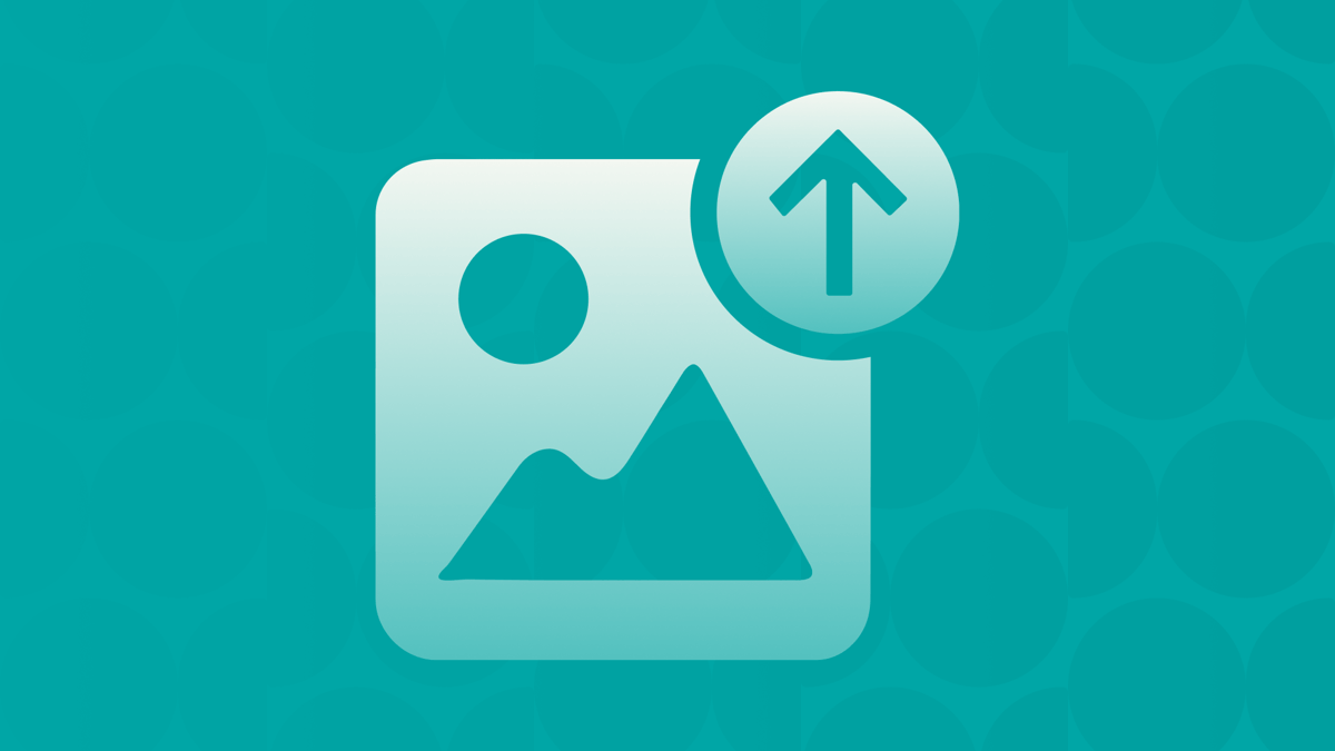 New Screener survey update: ask players for photos