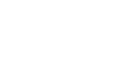 Insightful Logo